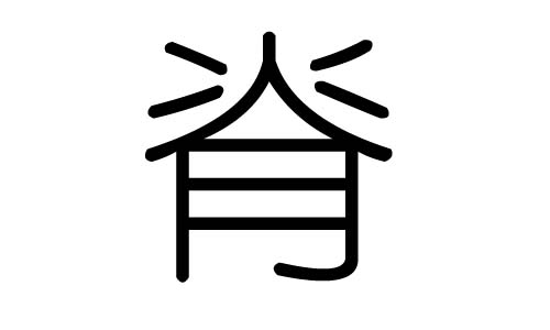 脊字的五行属什么，脊字有几划，脊字的含义