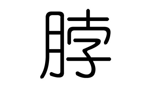 脖字的五行属什么，脖字有几划，脖字的含义