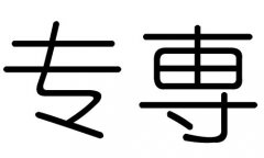 专字的五行属什么，专字有几划，专字的含义