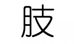 肢字的五行属什么，肢字有几划，肢字的含义