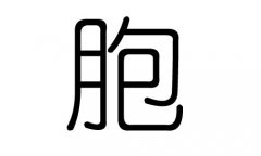 胞字的五行属什么，胞字有几划，胞字的含义