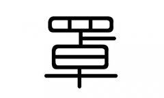 罩字的五行属什么，罩字有几划，罩字的含义