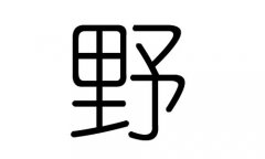 野字的五行属什么，野字有几划，野字的含义