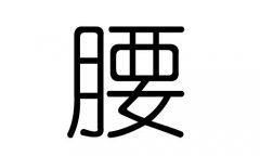 腰字的五行属什么，腰字有几划，腰字的含义