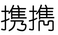 携字的五行属什么，携字有几划，携字的含义