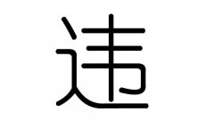 违字的五行属什么，违字有几划，违字的含义