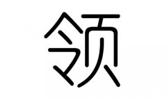 领字的五行属什么，领字有几划，领字的含义