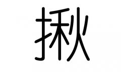 揪字的五行属什么，揪字有几划，揪字的含义