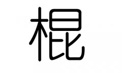 棍字的五行属什么，棍字有几划，棍字的含义