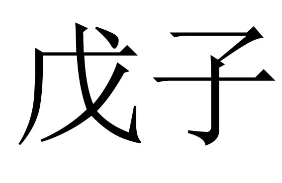 戊子是什么意思