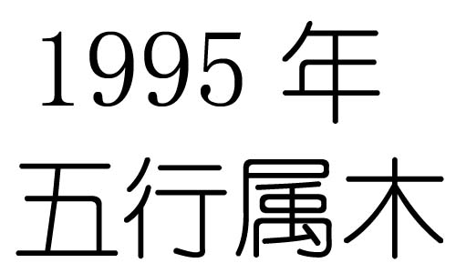 1995年五行属什么？1995年出生是什么命？