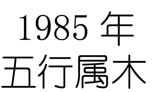 1985年五行属什么？1985年出生是什么命？