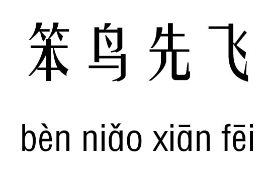 笨鸟先飞五行吉凶_笨鸟先飞成语故事