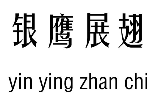 银鹰展翅五行吉凶_银鹰展翅成语故事