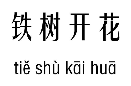 铁树开花几五行吉凶_铁树开花成语故事