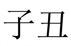 子丑是什么意思