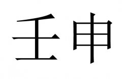 壬申是什么意思