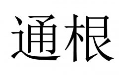 八字通根是什么意思