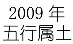 2009年五行属什么？2009年出生是什么命？