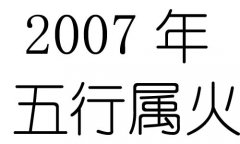 2007年五行属什么？2007年出生是什么命？