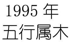 1995年五行属什么？1995年出生是什么命？