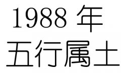 1988年五行属什么？1988年出生是什么命？