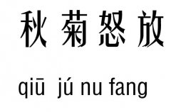 秋菊怒放五行吉凶_秋菊怒放成语故事