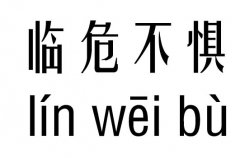 临危不惧五行吉凶_临危不惧成语故事