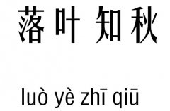 落叶知秋五行吉凶_落叶知秋成语故事