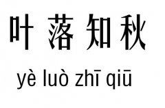 叶落知秋五行吉凶_叶落知秋成语故事