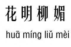 花明柳暗五行吉凶_花明柳暗成语故事