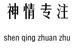 神情专注五行吉凶_神情专注成语故事