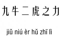 九牛二虎之力五行吉凶_九牛二虎之力成语故