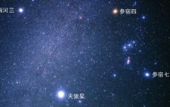 你造吗？天狼星属于哪个星座？