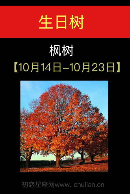 10月14日-10月23日(枫树)