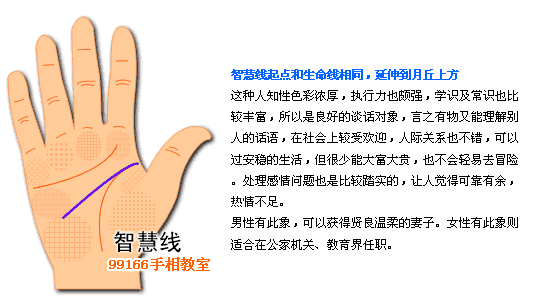 智慧线,个性,看手相,手相