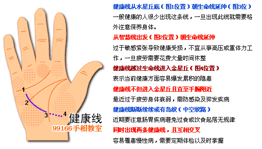 掌纹,支线,手相,看手相