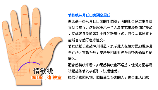 掌纹,支线,手相,看手相