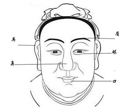 五官面相,面相看性格,面相分析