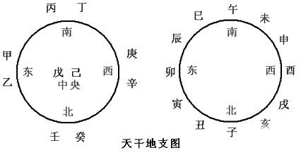 十天干属性和十二地支