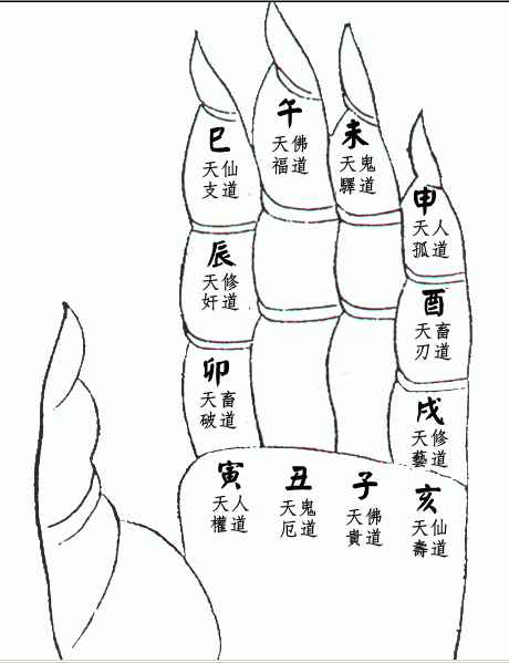 十天干属性和十二地支