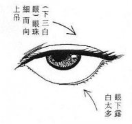 眼睛面相算命图解