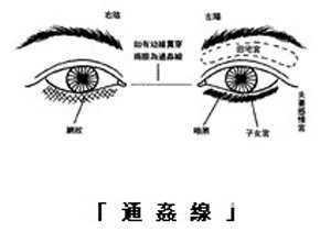 眼神、眼形、眼部面相图解