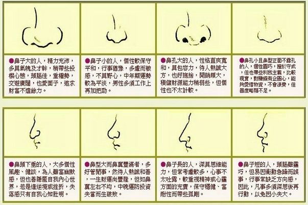 苏民峰面相：鼻子面相图解