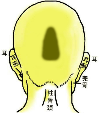 骨相中几种贵人命格