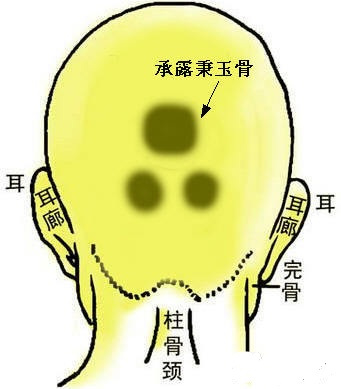 骨相中几种贵人命格