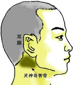 骨相中几种贵人命格