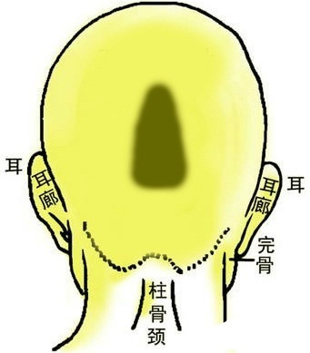 骨相中几种贵人命格