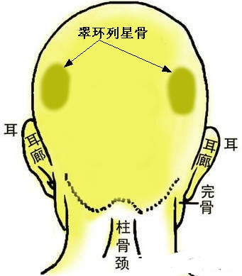 骨相中几种贵人命格