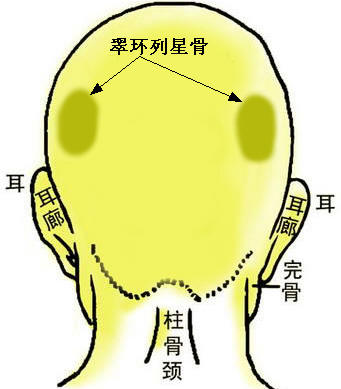 骨相大全：翠环列星骨